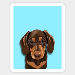 Dachshund Puppy Sticker